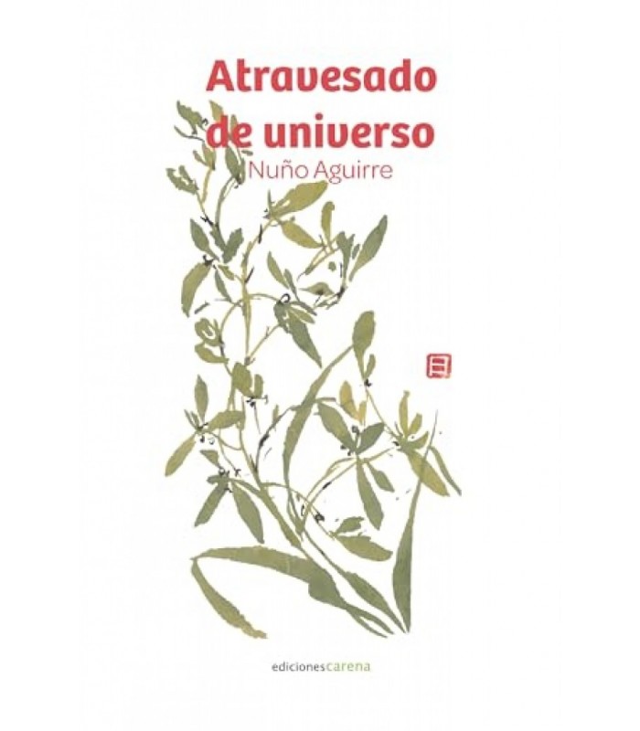 Atravesado de universo