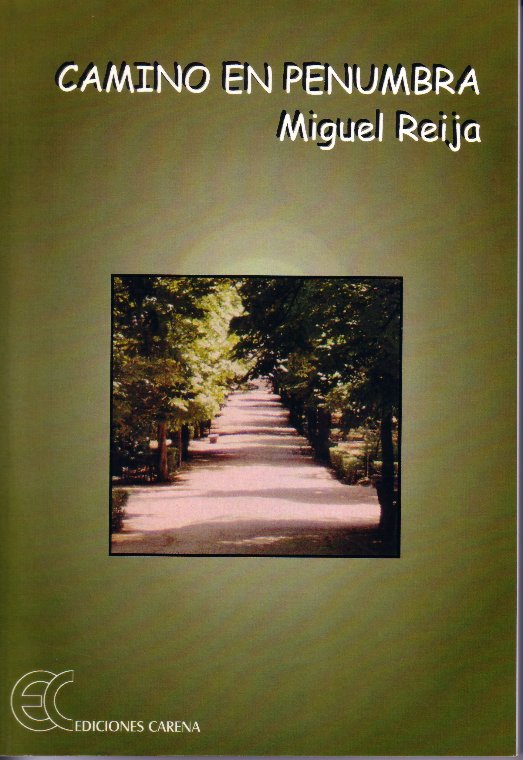 Camino en penumbra